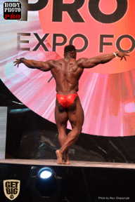 SN PRO EXPO - 2017