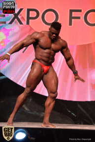 SN PRO EXPO - 2017
