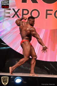 SN PRO EXPO - 2017