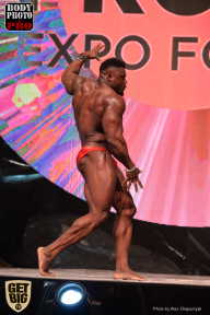 SN PRO EXPO - 2017