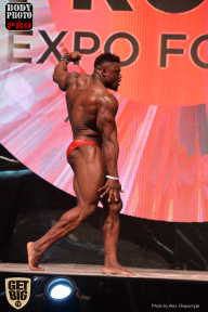 SN PRO EXPO - 2017