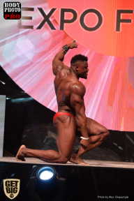 SN PRO EXPO - 2017