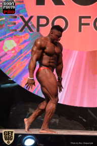 SN PRO EXPO - 2017