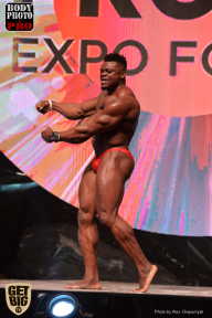 SN PRO EXPO - 2017
