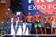 SN PRO EXPO - 2017