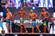 SN PRO EXPO - 2017