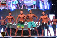 SN PRO EXPO - 2017