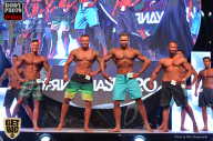 SN PRO EXPO - 2017