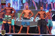 SN PRO EXPO - 2017