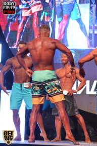SN PRO EXPO - 2017