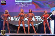 SN PRO EXPO - 2017