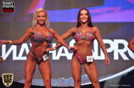 SN PRO EXPO - 2017