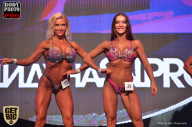 SN PRO EXPO - 2017
