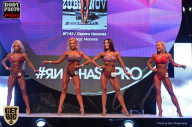 SN PRO EXPO - 2017