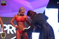 SN PRO EXPO - 2017