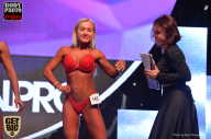 SN PRO EXPO - 2017