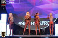 SN PRO EXPO - 2017