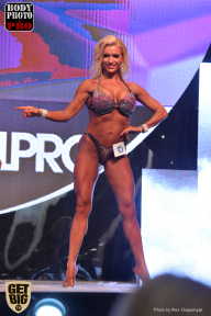 SN PRO EXPO - 2017