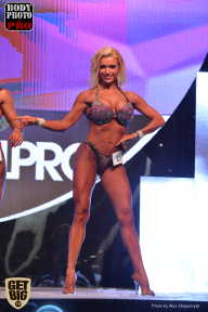 SN PRO EXPO - 2017