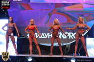 SN PRO EXPO - 2017