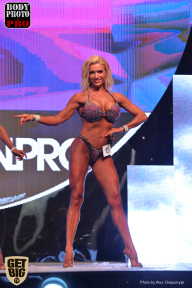 SN PRO EXPO - 2017