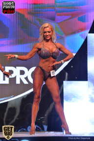 SN PRO EXPO - 2017