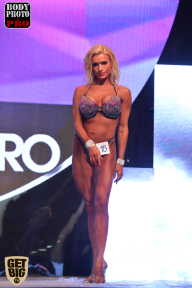 SN PRO EXPO - 2017