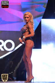 SN PRO EXPO - 2017