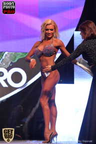 SN PRO EXPO - 2017