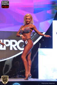 SN PRO EXPO - 2017