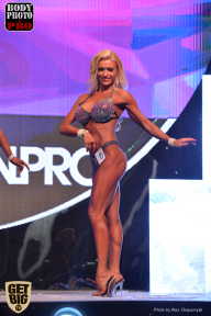 SN PRO EXPO - 2017