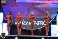 SN PRO EXPO - 2017