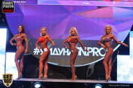SN PRO EXPO - 2017