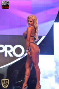 SN PRO EXPO - 2017