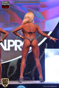 SN PRO EXPO - 2017
