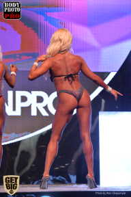 SN PRO EXPO - 2017
