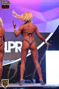 SN PRO EXPO - 2017