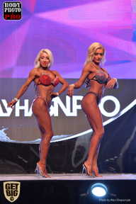 SN PRO EXPO - 2017