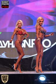 SN PRO EXPO - 2017