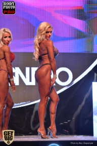 SN PRO EXPO - 2017