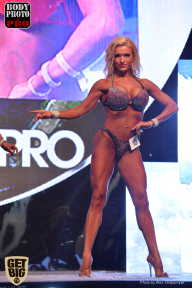 SN PRO EXPO - 2017