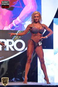 SN PRO EXPO - 2017