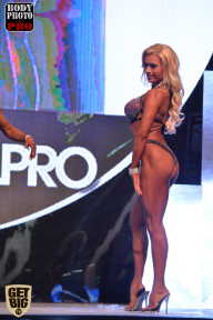 SN PRO EXPO - 2017