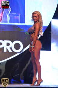 SN PRO EXPO - 2017
