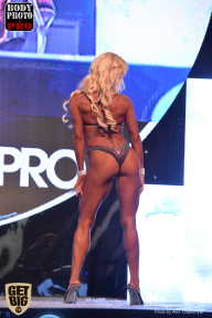 SN PRO EXPO - 2017