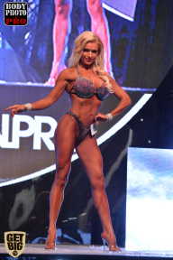 SN PRO EXPO - 2017