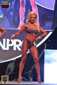 SN PRO EXPO - 2017