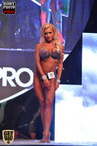 SN PRO EXPO - 2017