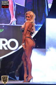 SN PRO EXPO - 2017