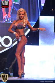 SN PRO EXPO - 2017